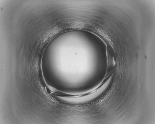 X0000087740681200705141225
