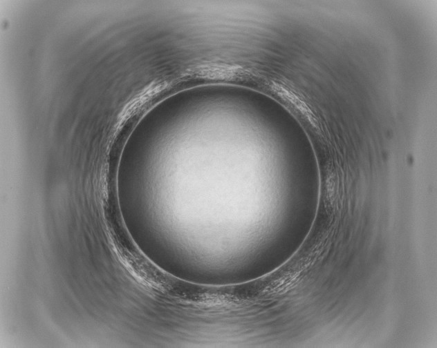X0000087740682200705141225