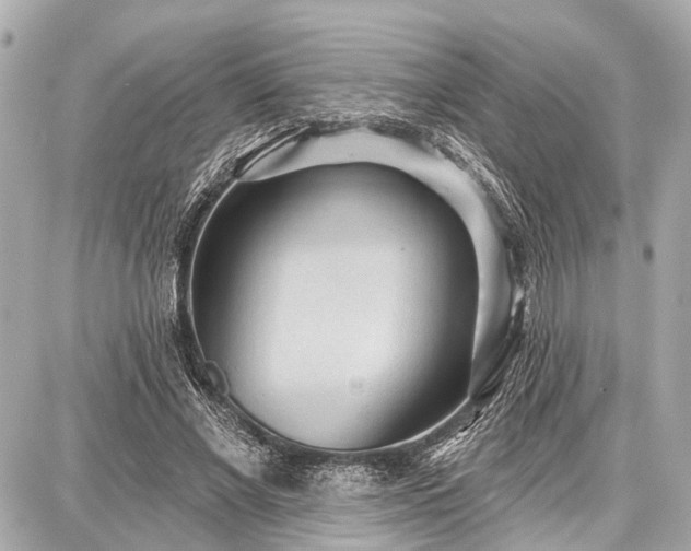 X0000087740685200705141225
