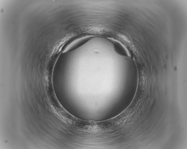 X0000087740688200705141225