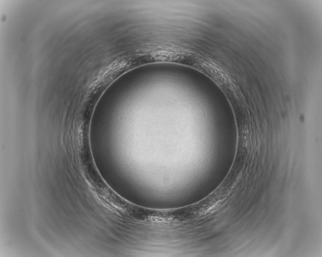 X0000087740690200705141225