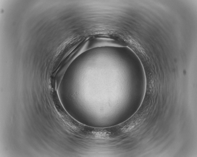 X0000087740693200705141225