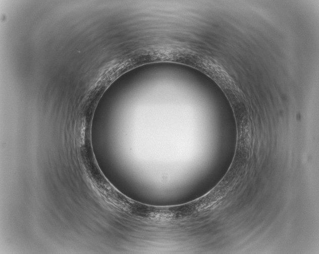 X0000087740694200705141225