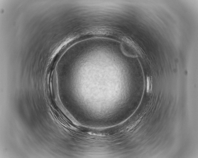 X0000087740723200705141224