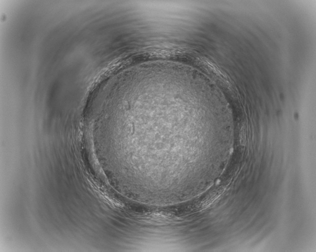 X0000087740737200705141224