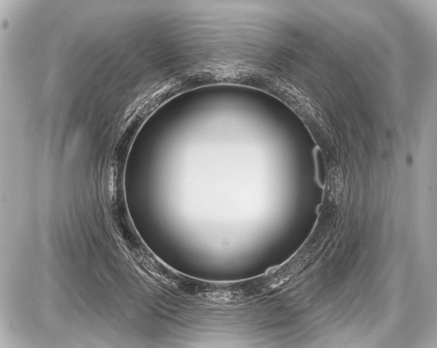 X0000087740740200705141224
