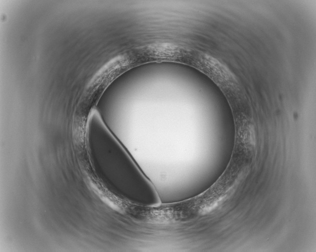 X0000087740744200705141224