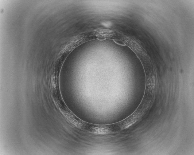 X0000087740755200705141225