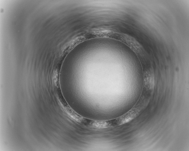 X0000087740767200705141225