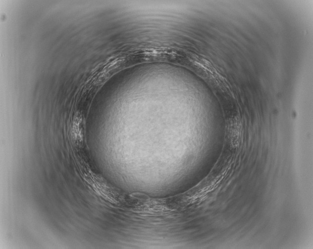 X0000087740770200705141224