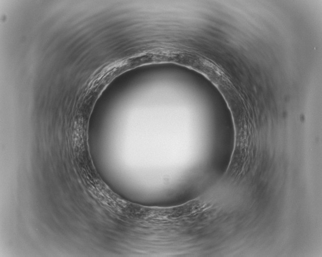 X0000087740773200705141224