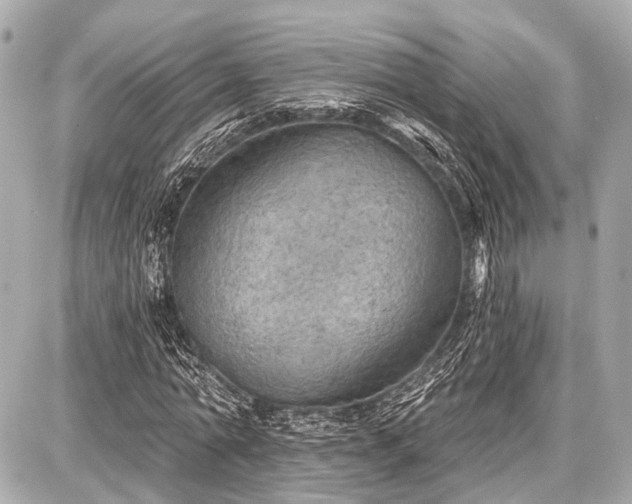 X0000087740774200705141224