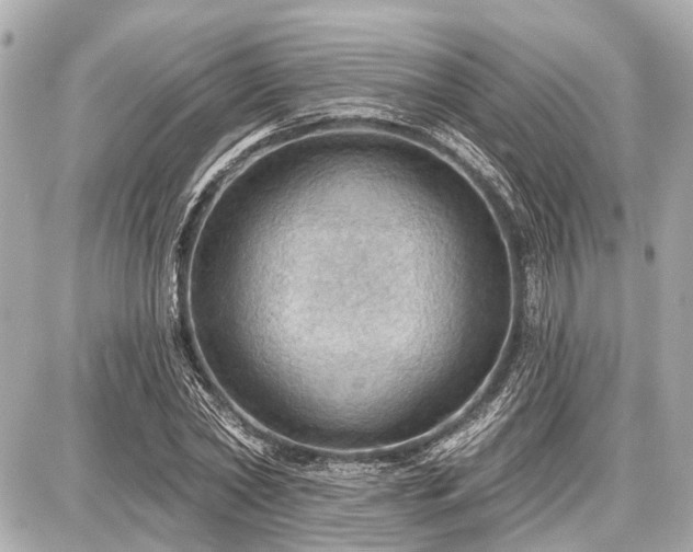 X0000087740782200705141224