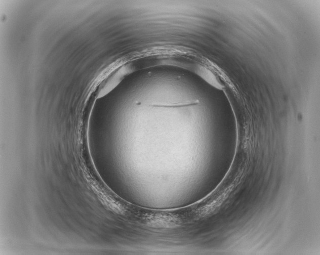 X0000087740786200705141224