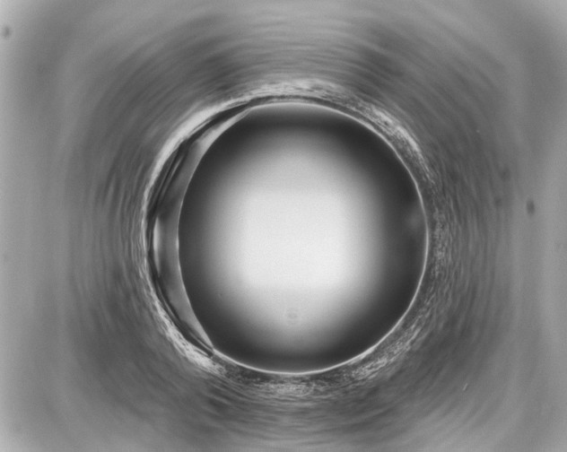 X0000087740792200705141224