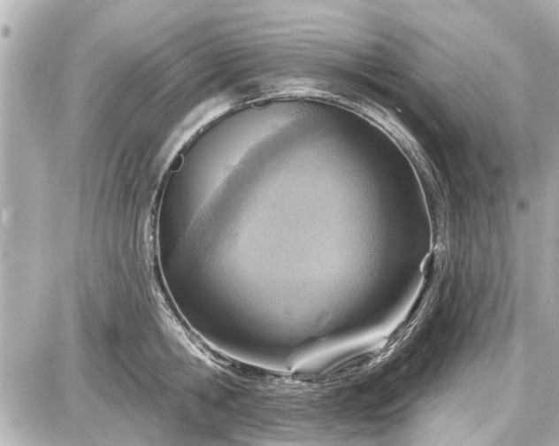 X0000087740806200705141223