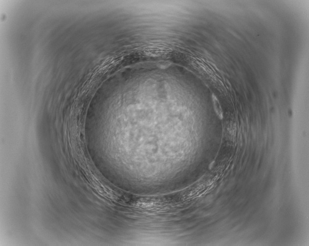 X0000087740817200705141222