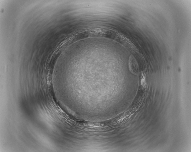 X0000087740819200705141222