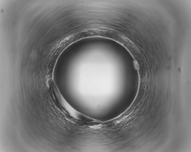 X0000087740822200705141222