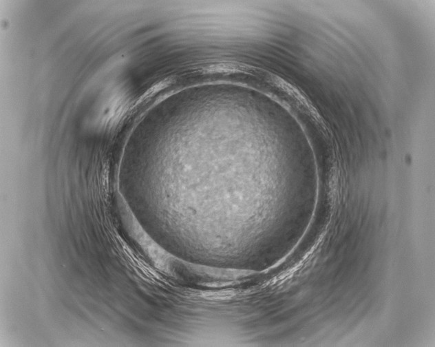 X0000087740825200705141223