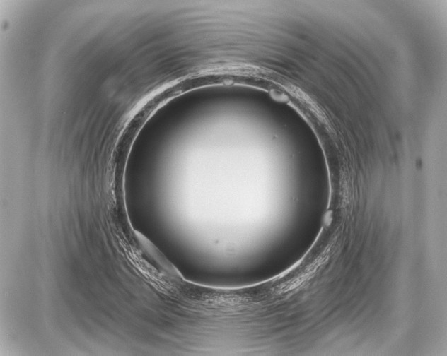 X0000087740830200705141223