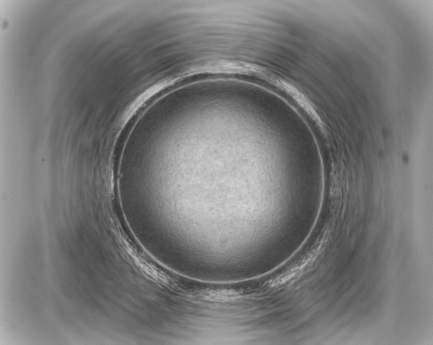 X0000087740837200705141223