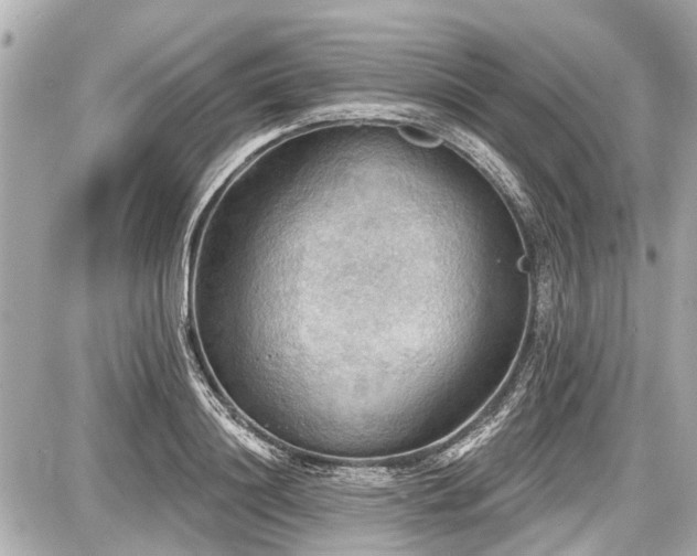 X0000087740844200705141223