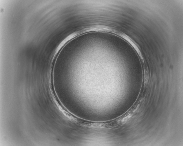 X0000087740861200705141223