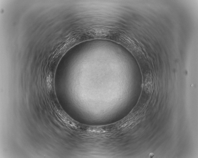 X0000087740866200705141222