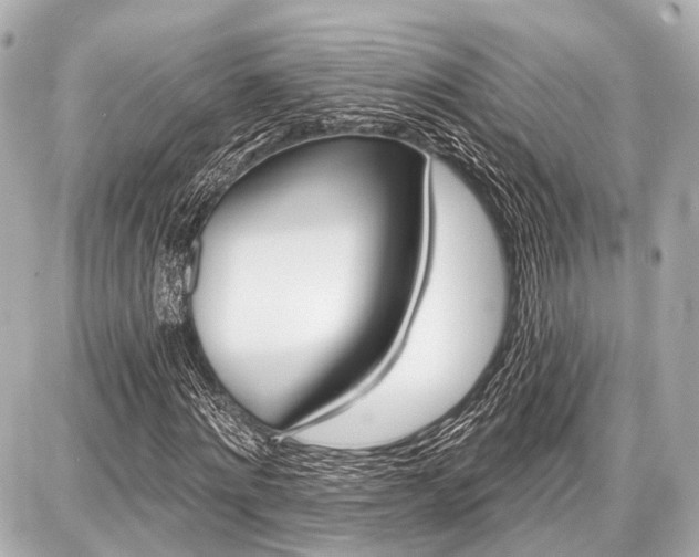 X0000087740868200705141222