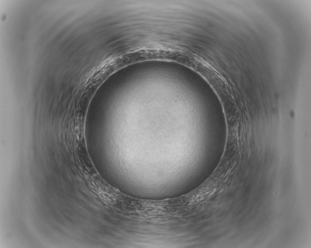X0000087740870200705141222
