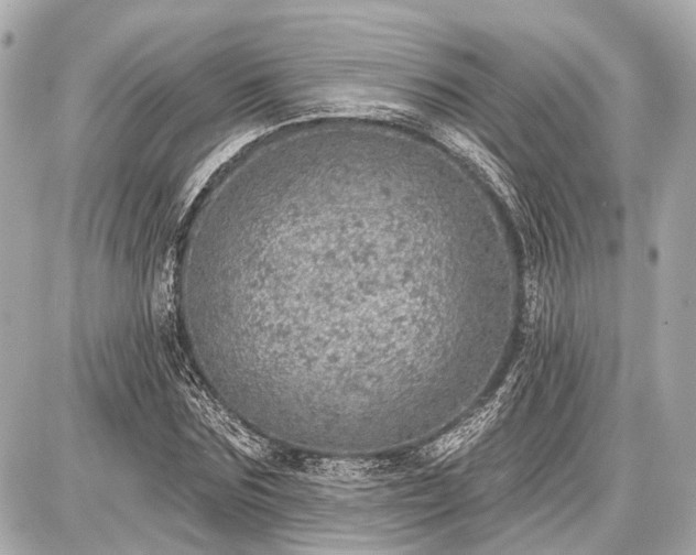 X0000087740875200705141222