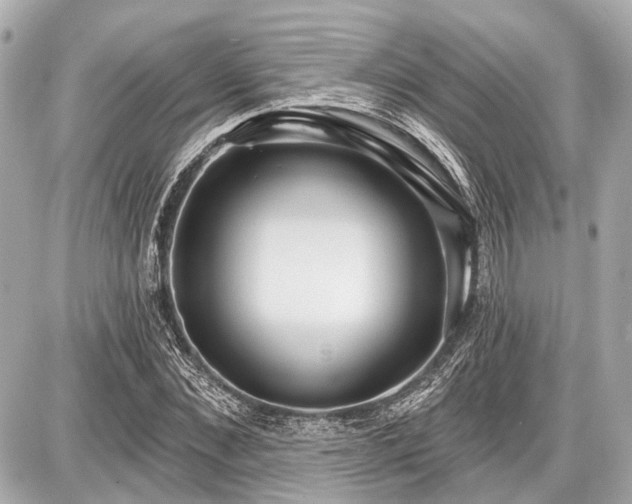 X0000087740876200705141222