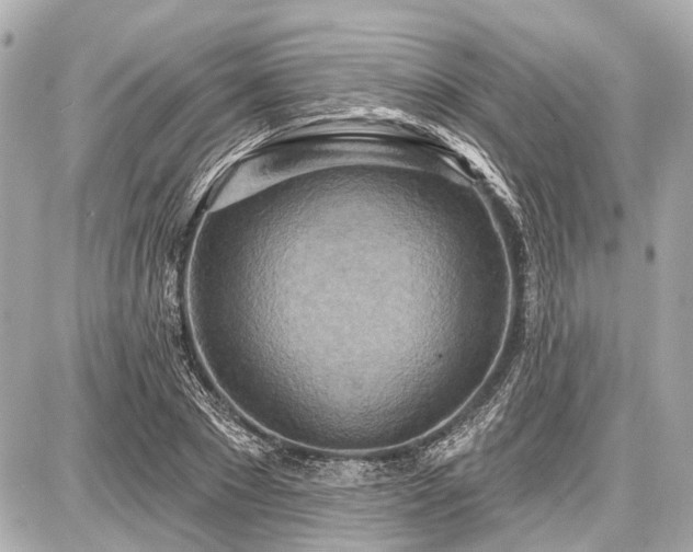 X0000087740881200705141222