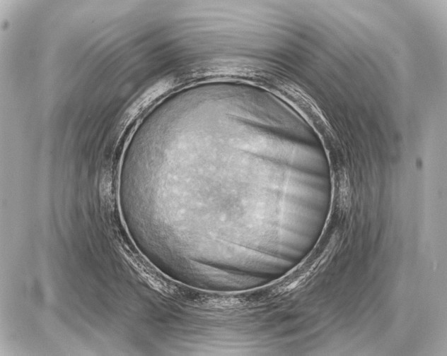 X0000087740882200705141222