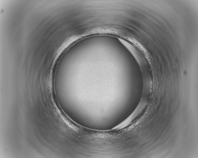X0000087740894200705141222