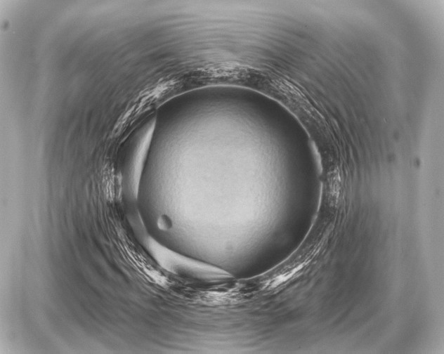 X0000087740916200705141221