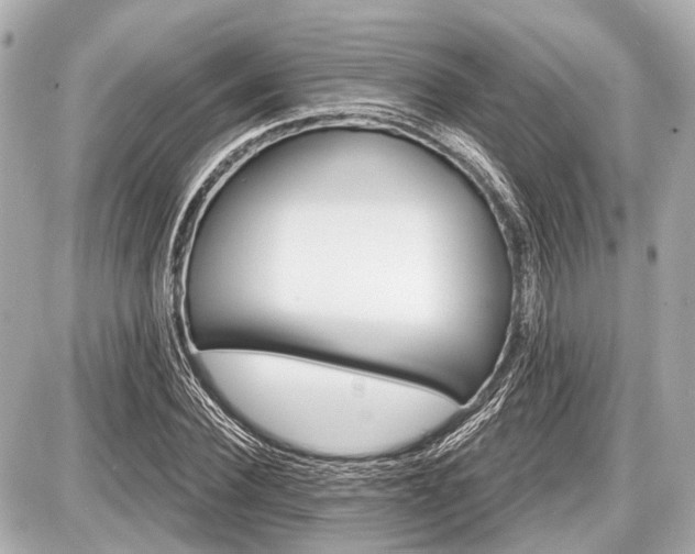 X0000087740924200705141221