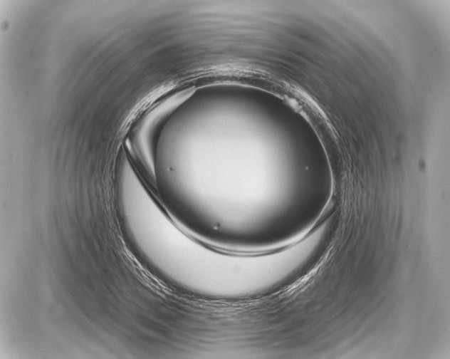 X0000087740930200705141221