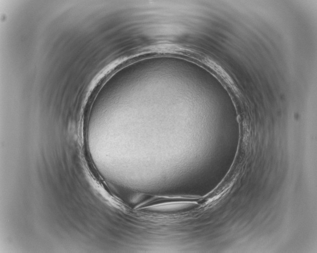 X0000087740939200705141221