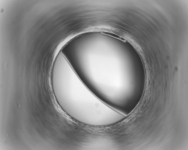X0000087740960200705141222