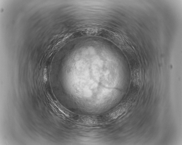 X0000087740962200705141221