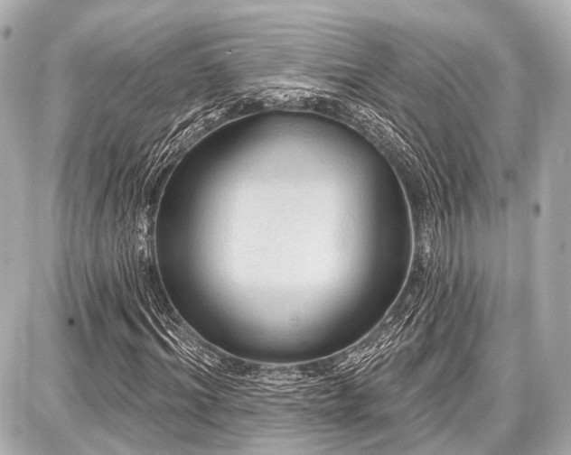 X0000087740964200705141221