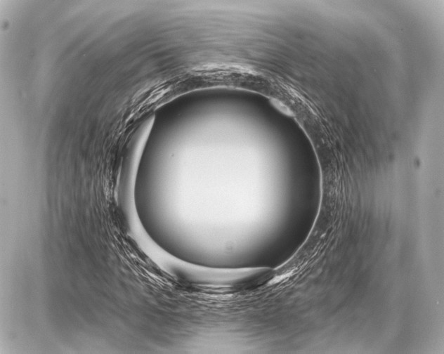 X0000087740965200705141221