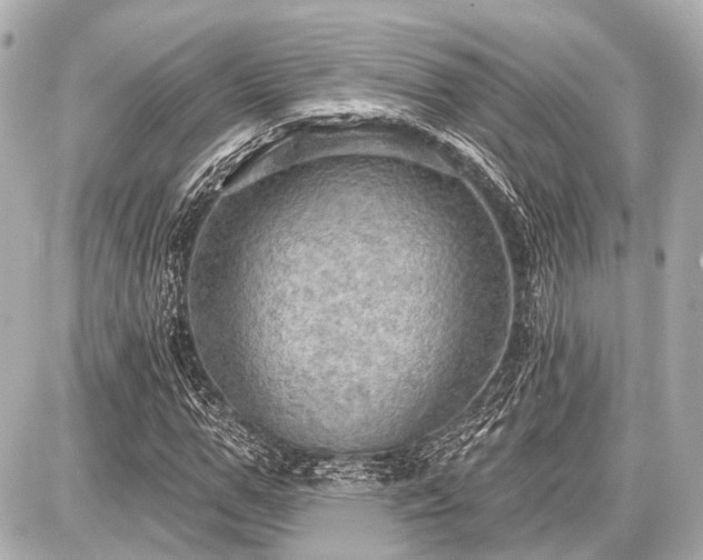 X0000087740967200705141221
