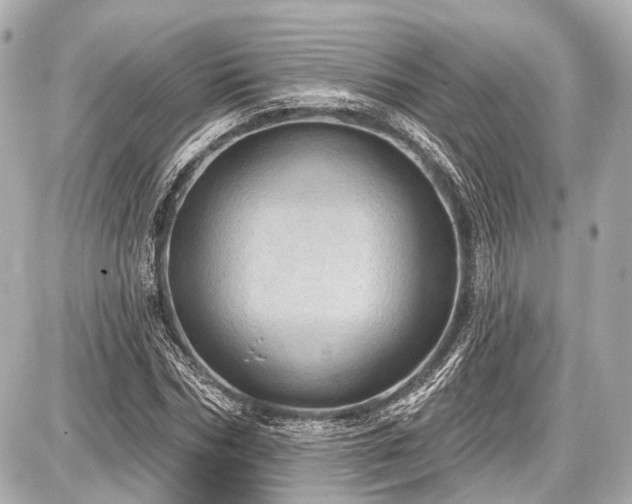 X0000087740970200705141221