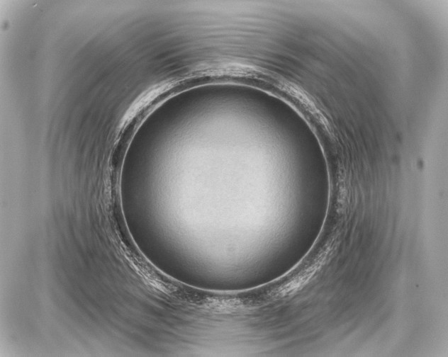 X0000087740978200705141221