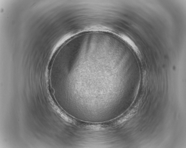X0000087740990200705141220