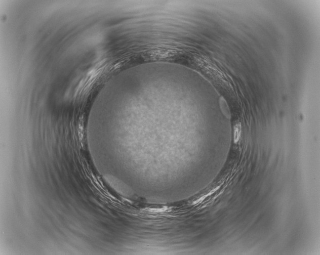 X0000087741011200705141219