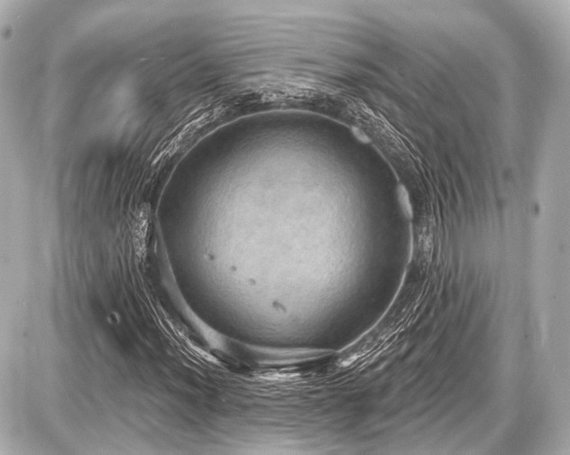 X0000087741012200705141219